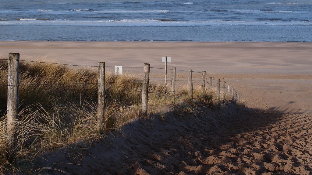 Kamperen tussen zee, bossen, duin en bollenvelden in Noordwijkerhout bij Sollasi